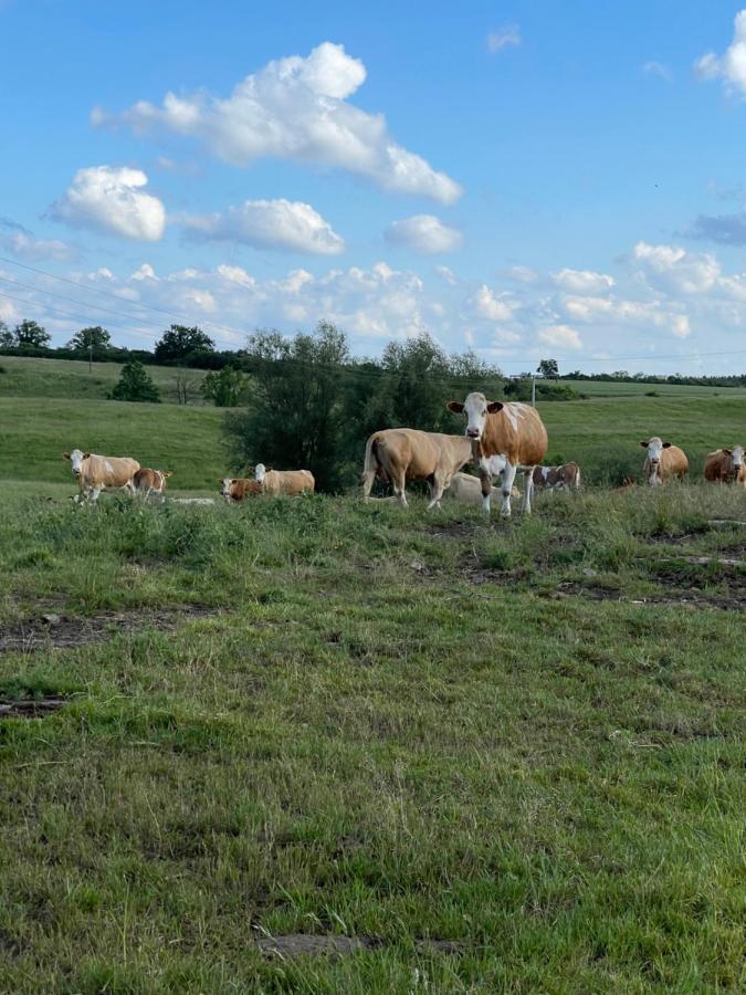 Radlerzimmer Mit Duschbad Und Minikueche In Neu Gaarz, Mitten In Der Natur Exterior foto