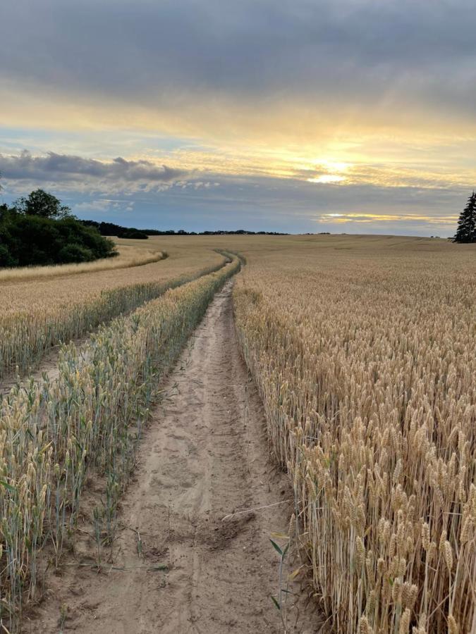 Radlerzimmer Mit Duschbad Und Minikueche In Neu Gaarz, Mitten In Der Natur Exterior foto